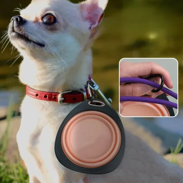 Filles Pliable en Silicone pour Chien et Chat, 320ml, Récipient de Nourriture
