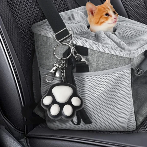 Jouets Laser Rechargeables pour Animaux de Compagnie, 5 Modèles Réglables, Motif de Transformation Interactif.