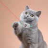 Jouet intelligent pour chat, Laser LED, jouet taquin, collier magique réglable pour chaton, jouet de jeu