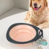 Filles Pliable en Silicone pour Chien et Chat, 320ml, Récipient de Nourriture