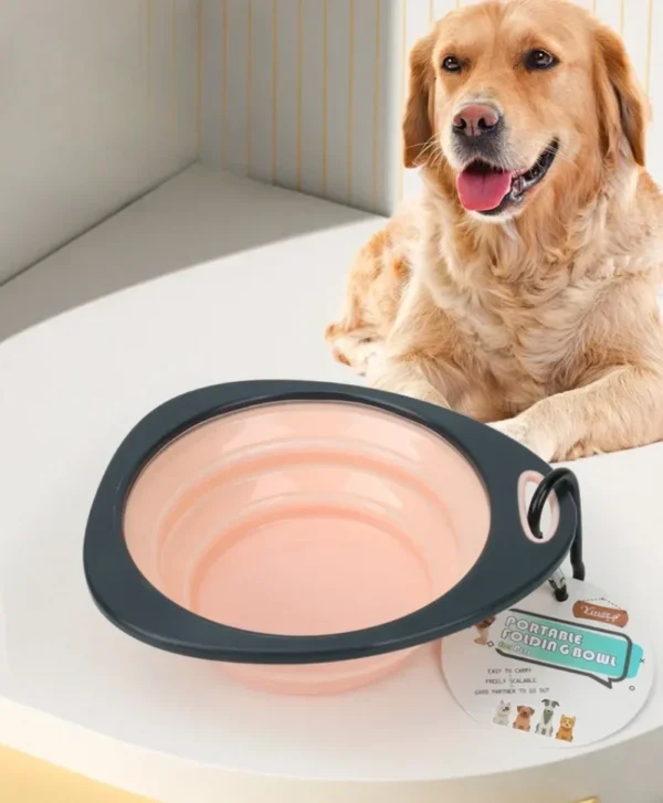 Filles Pliable en Silicone pour Chien et Chat, 320ml, Récipient de Nourriture