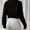 Pull Décontracté à Col Montant Papillon pour Femmes (TEMU)